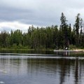 Lake Views