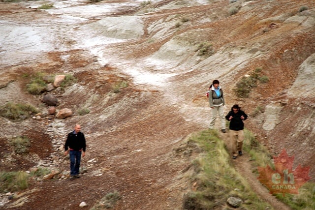 Canyon Hiking