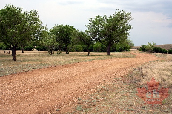 The Loop