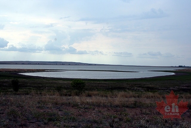 lake20090622_6811.JPG
