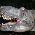 T-Rex Head Shot