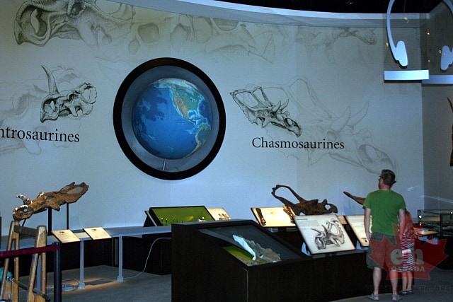 exhibits20090622_6011.JPG