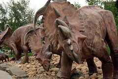 Dinosaur Herd