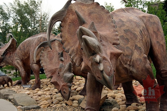 Dinosaur Herd