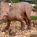 Dino Greetings
