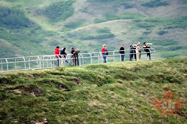 Lookout on Badlands