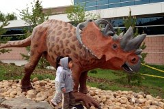 Taking a Dino Out for a Walk