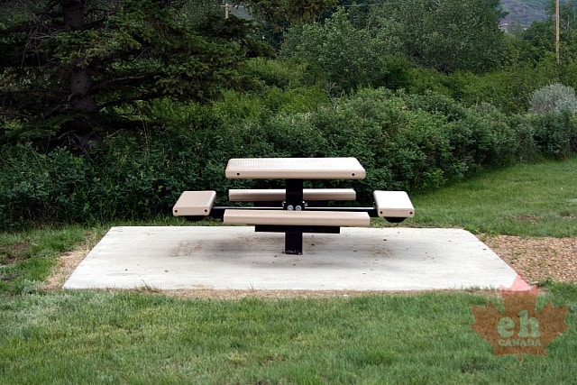 Picnic Table
