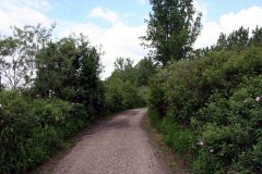 Biking Trails
