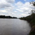 Red Deer River