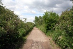 Gravel Trail