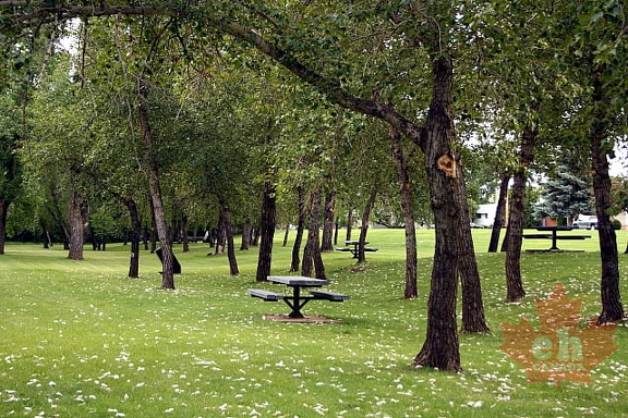Day Use Area