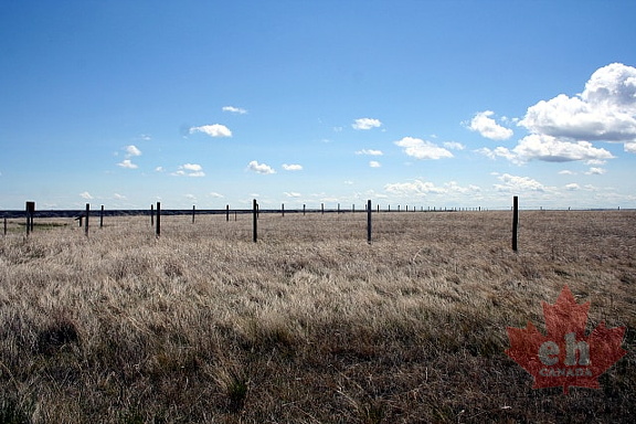 Prairie Grasslands