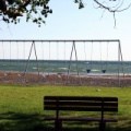 Swing and Swim