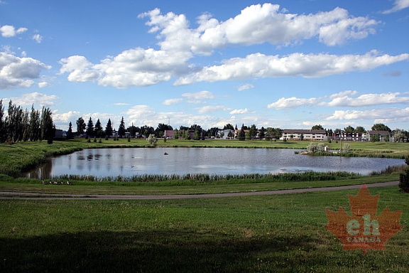 McKay Lake Views