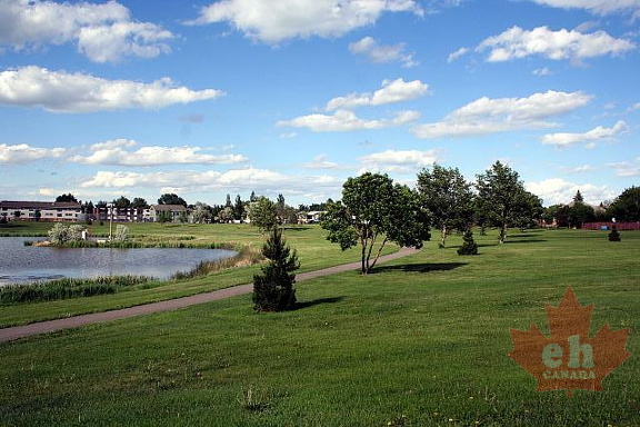 Grass Lawns