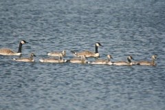 Family Outing