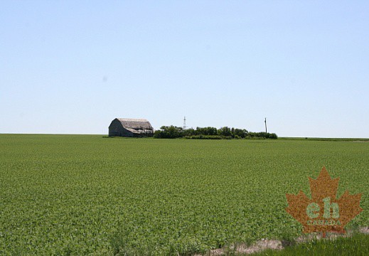 Farm House near Vulcan