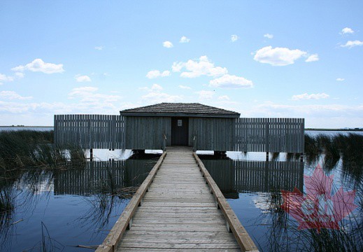Frank Lake Conservation Area