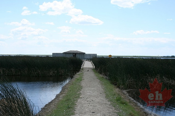 path20090626 89012
