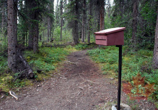 Hiker Registration Box