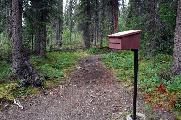 Hiker Registration Box