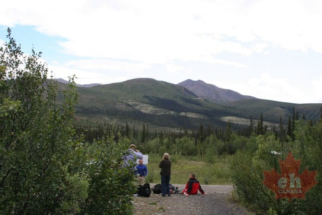 Hikers