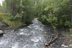 Charcoal Creek