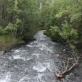 Charcoal Creek