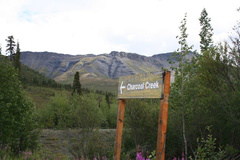 Mountain Views