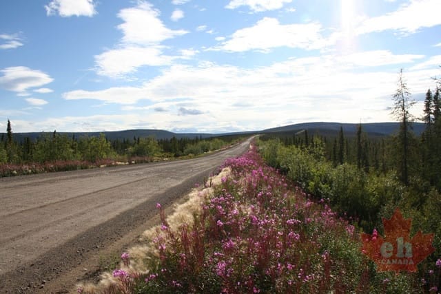 Purple Highway