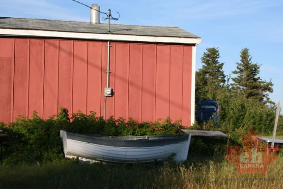 Row Boat