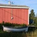 Row Boat