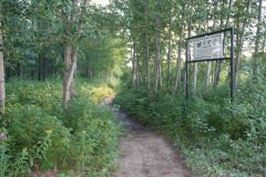 trail.jpg