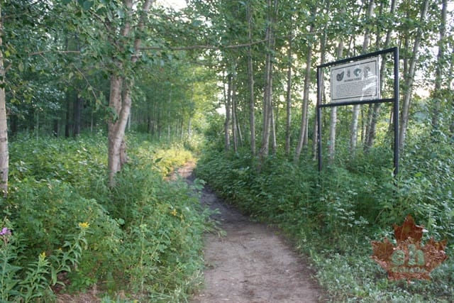 Hiking Trail