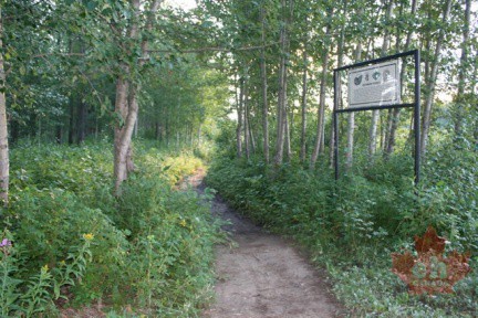 Hiking Trail