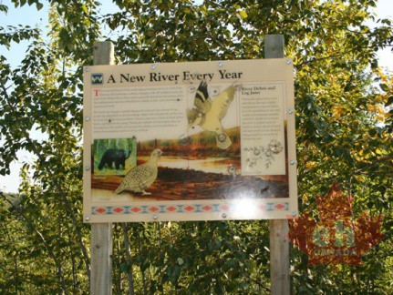 Interpretive Sign (2796 visits) Information on the local environment Interpretive Sign
