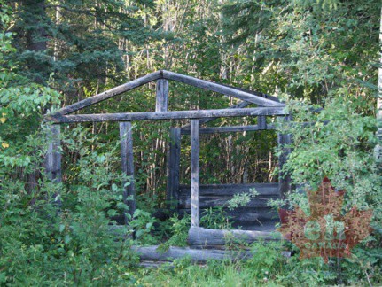 Hidden Structure (4888 visits) Structure in the bush Hidden Structure