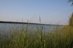 Lake Views