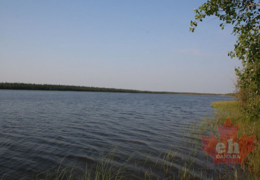 Blue on Blue Views (3877 visits) Views from shoreline of Chan Lake Blue on Blue Views