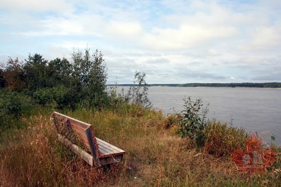 Viewing Bench