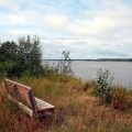 Viewing Bench