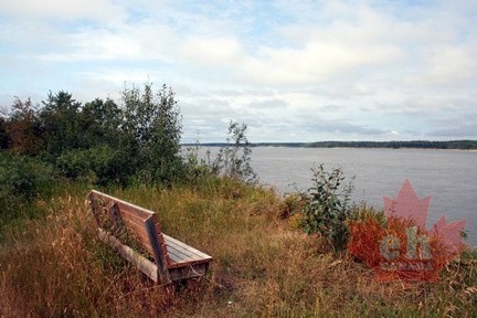 Viewing Bench