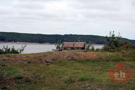 Viewing Bench