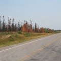 Straight ahead to Yellowknife