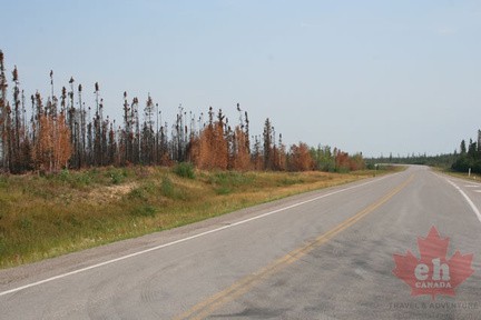 Straight ahead to Yellowknife