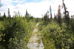 trail.jpg