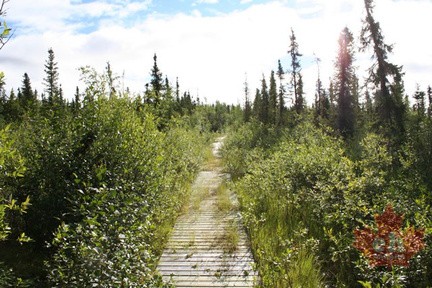 Hiking Trail