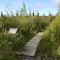 Interpretive sign