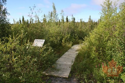 Interpretive sign